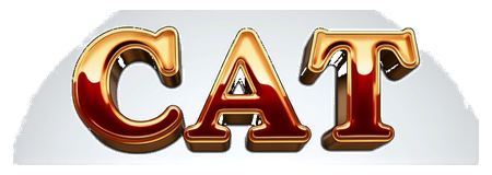 cat 3d logo